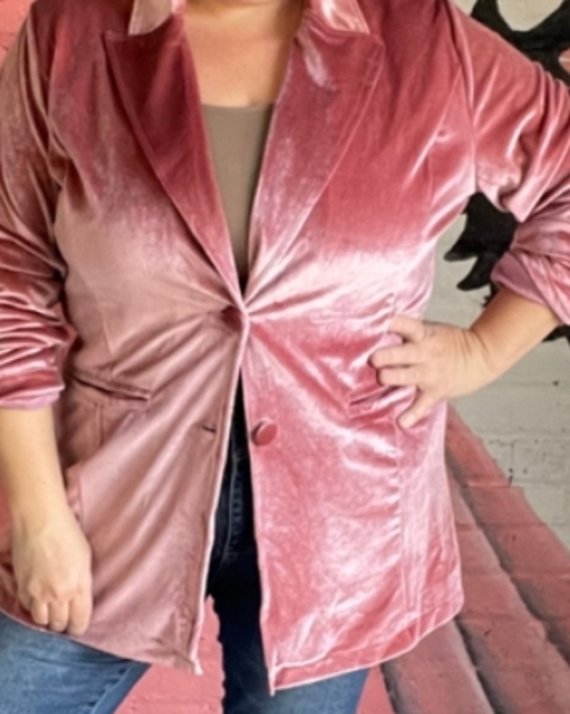 NWT Blakeley Velvet Blazer